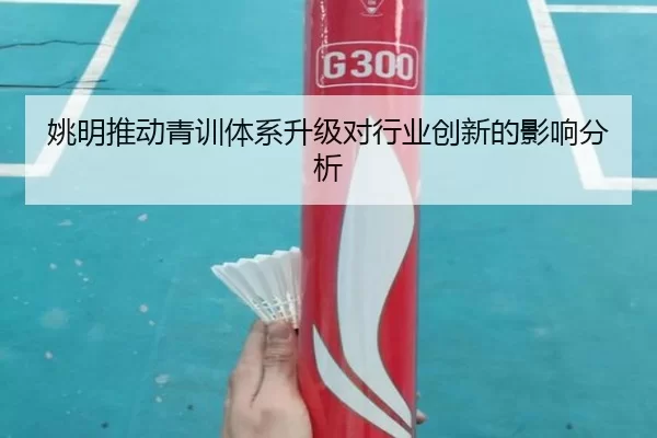姚明推动青训体系升级对行业创新的影响分析